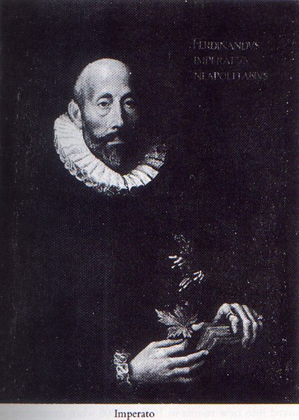 Ferrante Imperato